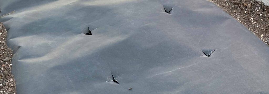 acolchado de papel biodegradable