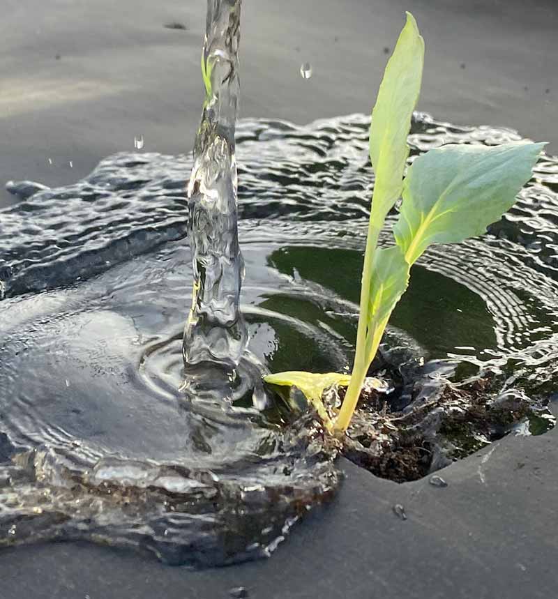 How to save water in agriculture.