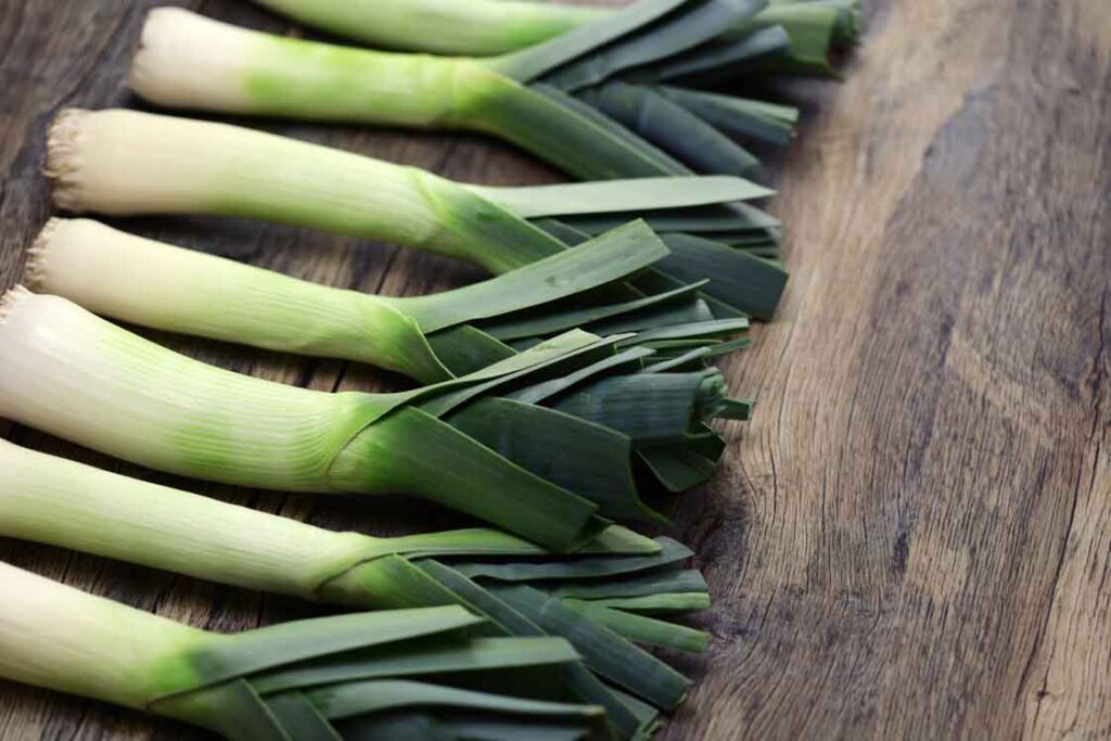 plant leeks