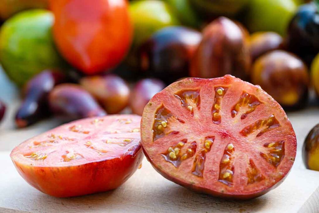 cultivar tomates