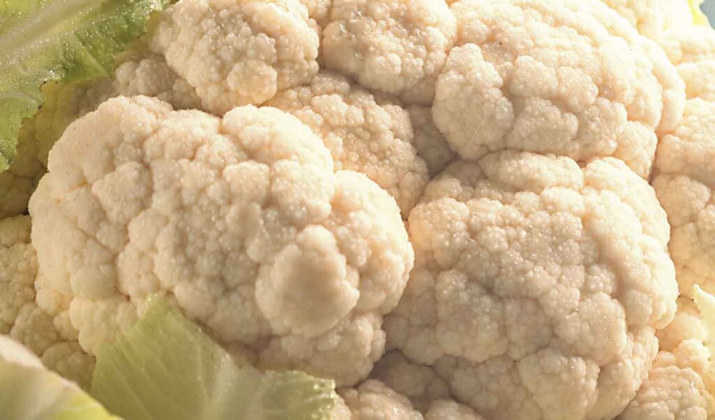 como cultivar coliflor