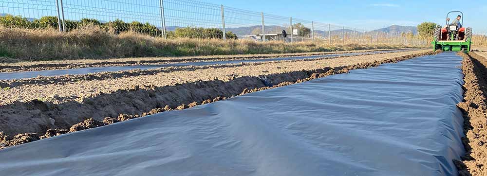 Ahorrar agua en la agricultura