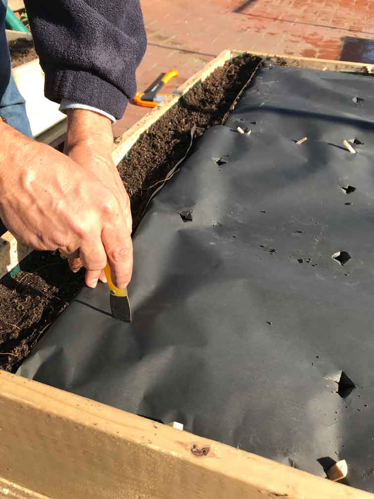 Profundidad para plantar semillas