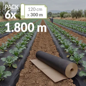Cultivo de brócoli acolchado con papel Novamulch y rollo de Novamulch 120 cm x 300 metros. Sello pack 6 rollos, 1.800 metros.