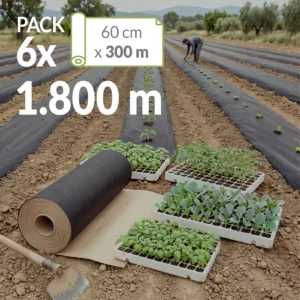 Trabajadores plantando mudas en campo acolchado con papel Novamulch y rollo de Novamulch 600 cm x 300 metros en primer plano. Sello pack 6 rollos, 1.800 metros.