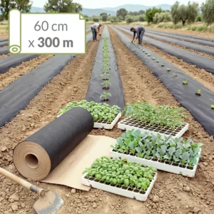 Trabajadores plantando mudas en campo acolchado con papel Novamulch y rollo de Novamulch 600 cm x 300 metros en primer plano.