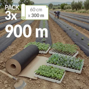 Trabajadores plantando mudas en campo acolchado con papel Novamulch y rollo de Novamulch 600 cm x 300 metros en primer plano. Sello pack 3 rollos, 900 metros.