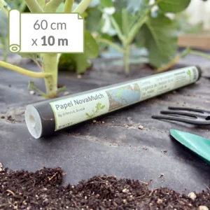 Banco de cultivo con acolchado Novamulch y plantas de brócoli. Rollo de Novamulch 60 cm x 10 metros entre las plantas.
